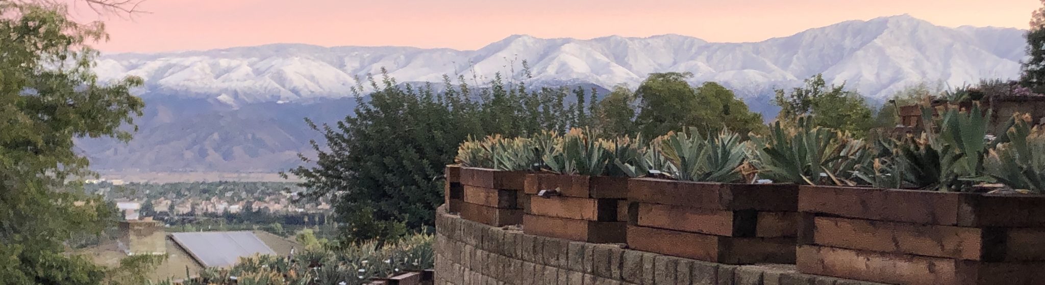 Garden Visit Crafton Hills Iris Farm