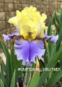 Edith-Wolford-2-5-1-2019-Cropped-215x300