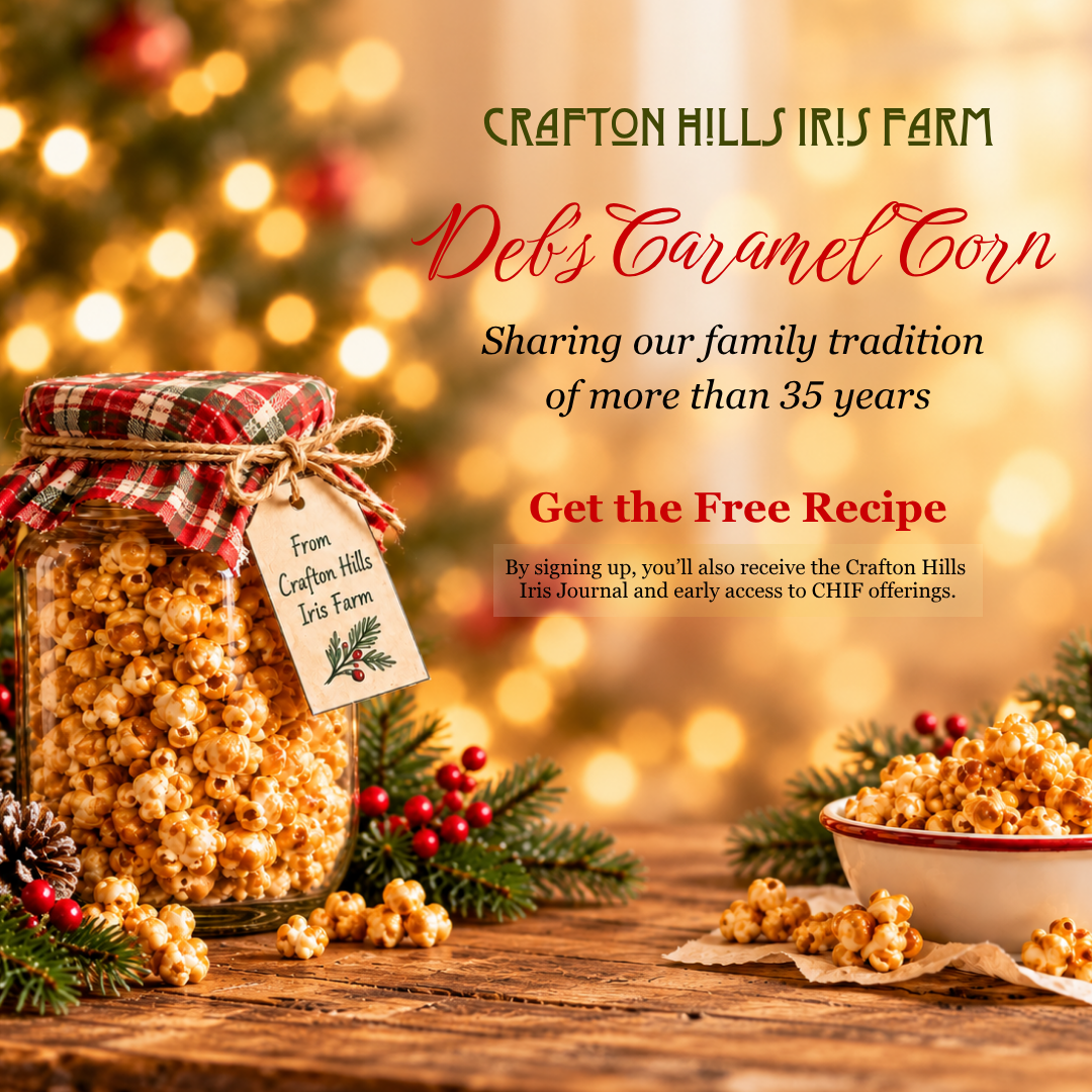 Landing Page graphic Caramel Corn